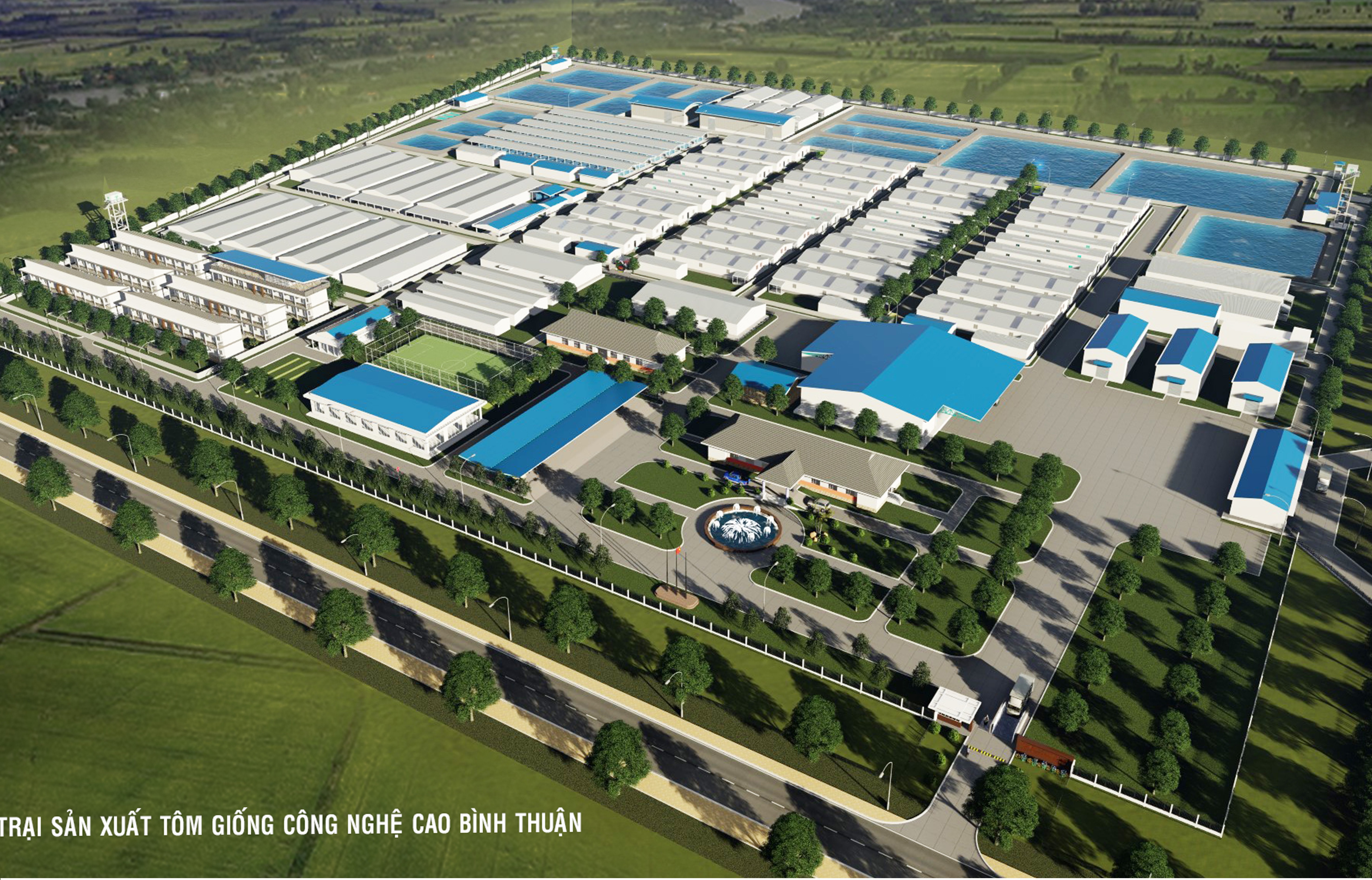 TRẠI SẢN XUẤT TÔM GIỐNG CÔNG NGHỆ CAO TẠI BÌNH THUẬN